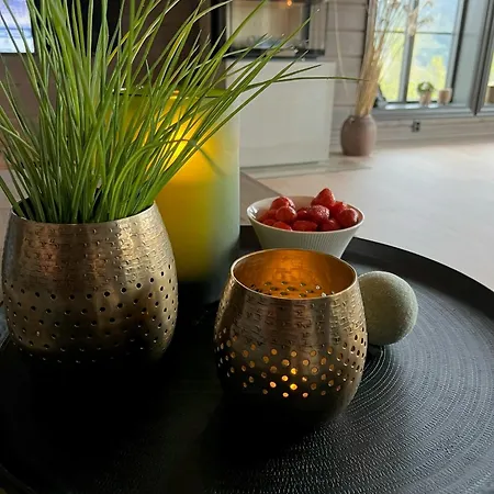 Cozy Modern With Outstanding View In Sogn *